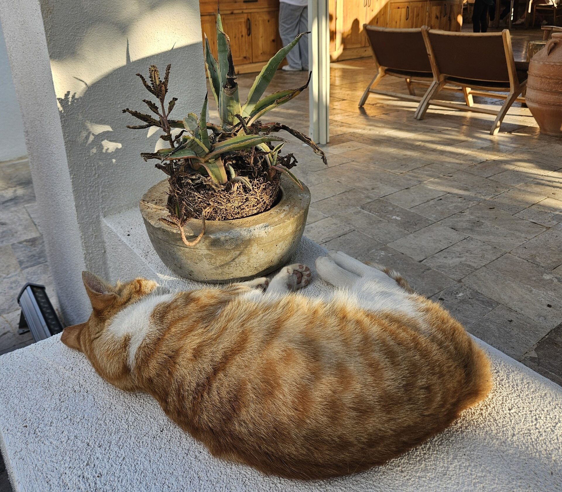 Kalkan