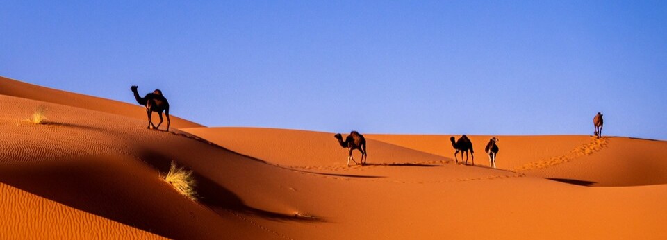 RivieraBus Morocco (4)